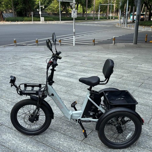 Fafrees dreirad elektro 20 - fafrees,