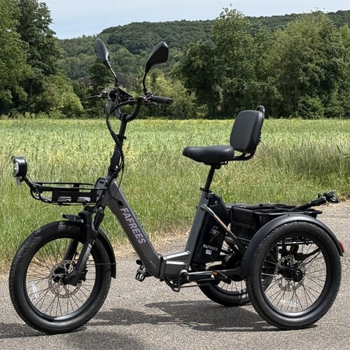 Dreirad elektro 250w bike - dreirad, 20