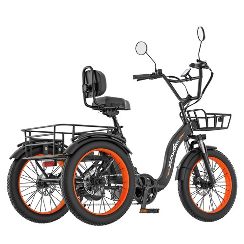 1000w dreirad zoll - 1000w,