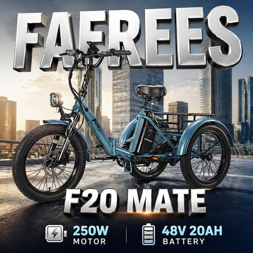 Fafrees cargo trike 250w - fafrees,