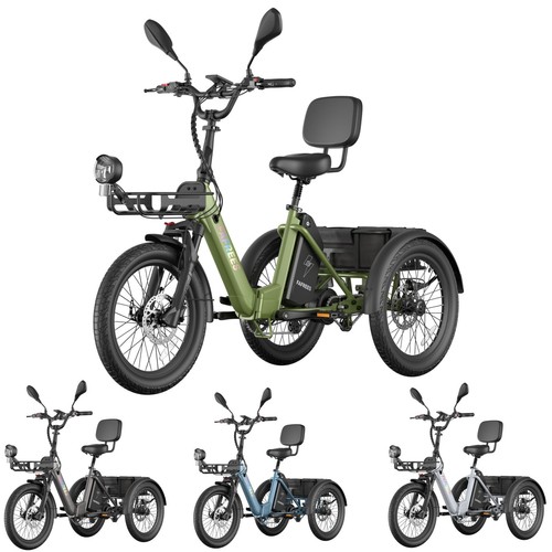Bike dreirad elektro - e-bike, zoll
