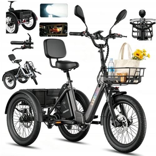 Fafrees elektro dreirad 250w - fafrees,