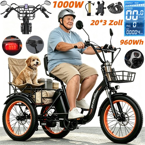 1000w klapprad elektro dreirad - elektro,
